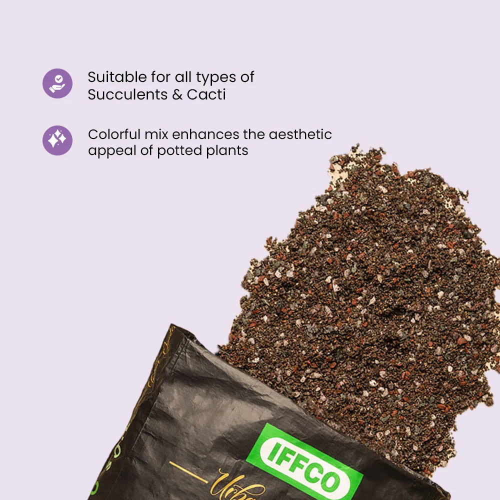 Cacto Soil - Succulent Potting Mix - Image 3