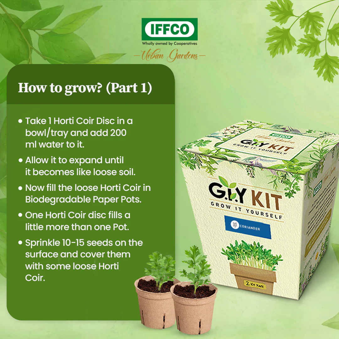 Grow It Yourself (GIY) Kit - CORIANDER (2 Pot Pack) - Image 4