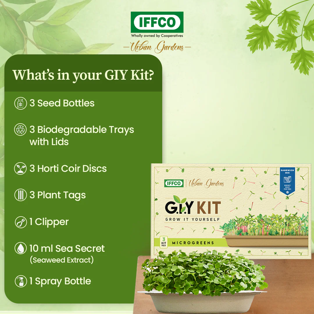 Grow It Yourself (GIY) Microgreens Kit - SALAD MIX (3 Tray Pack) - Image 3
