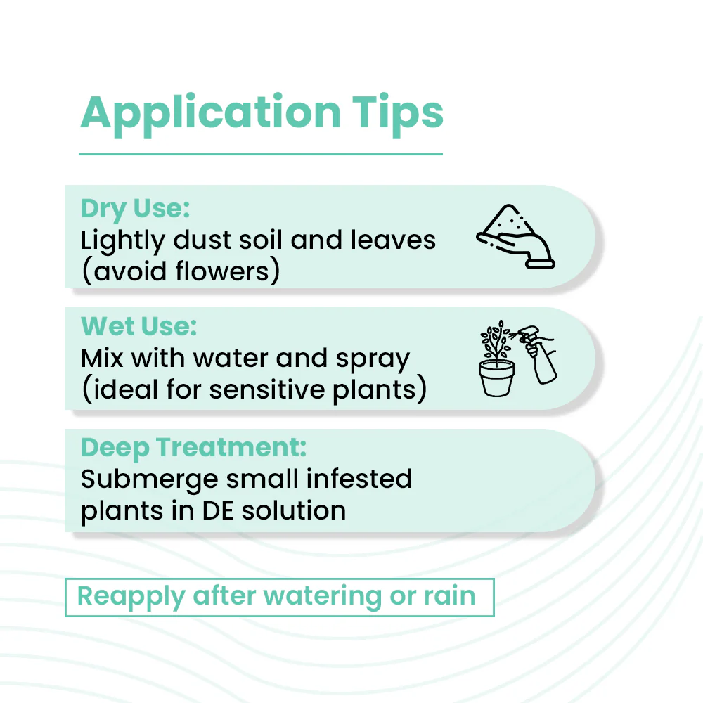 Doctor Diatom - Diatomaceous Earth Powder - Image 5