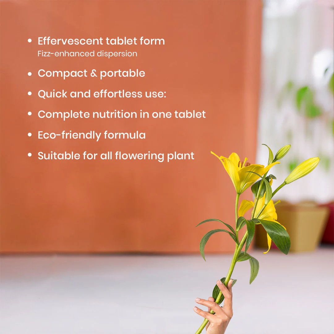 Flora Diet – Flowering Plant Food, Effervescent Tablets - Image 4