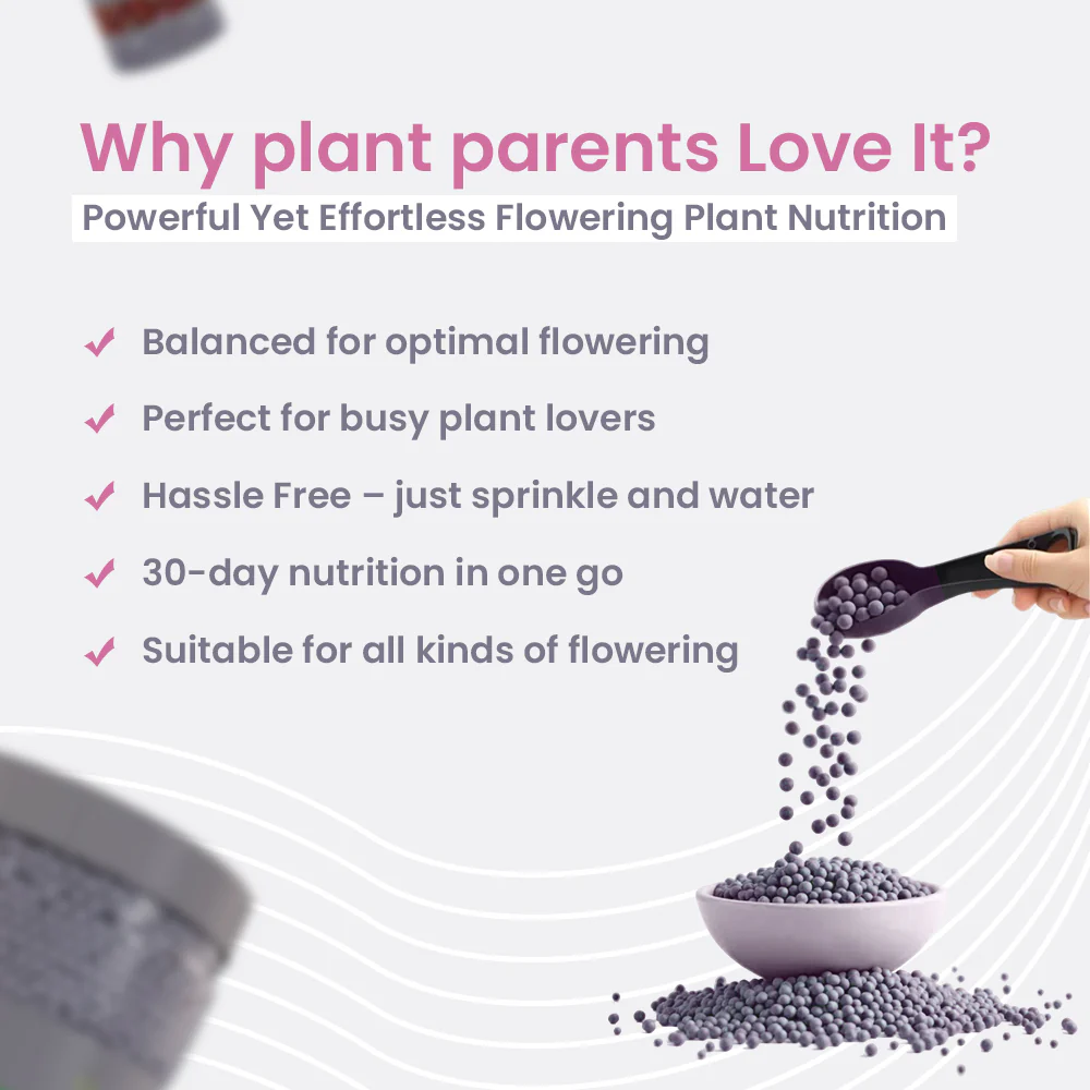 Flora Diet – Flowering Plant Food, Slow Release Granules - Image 4