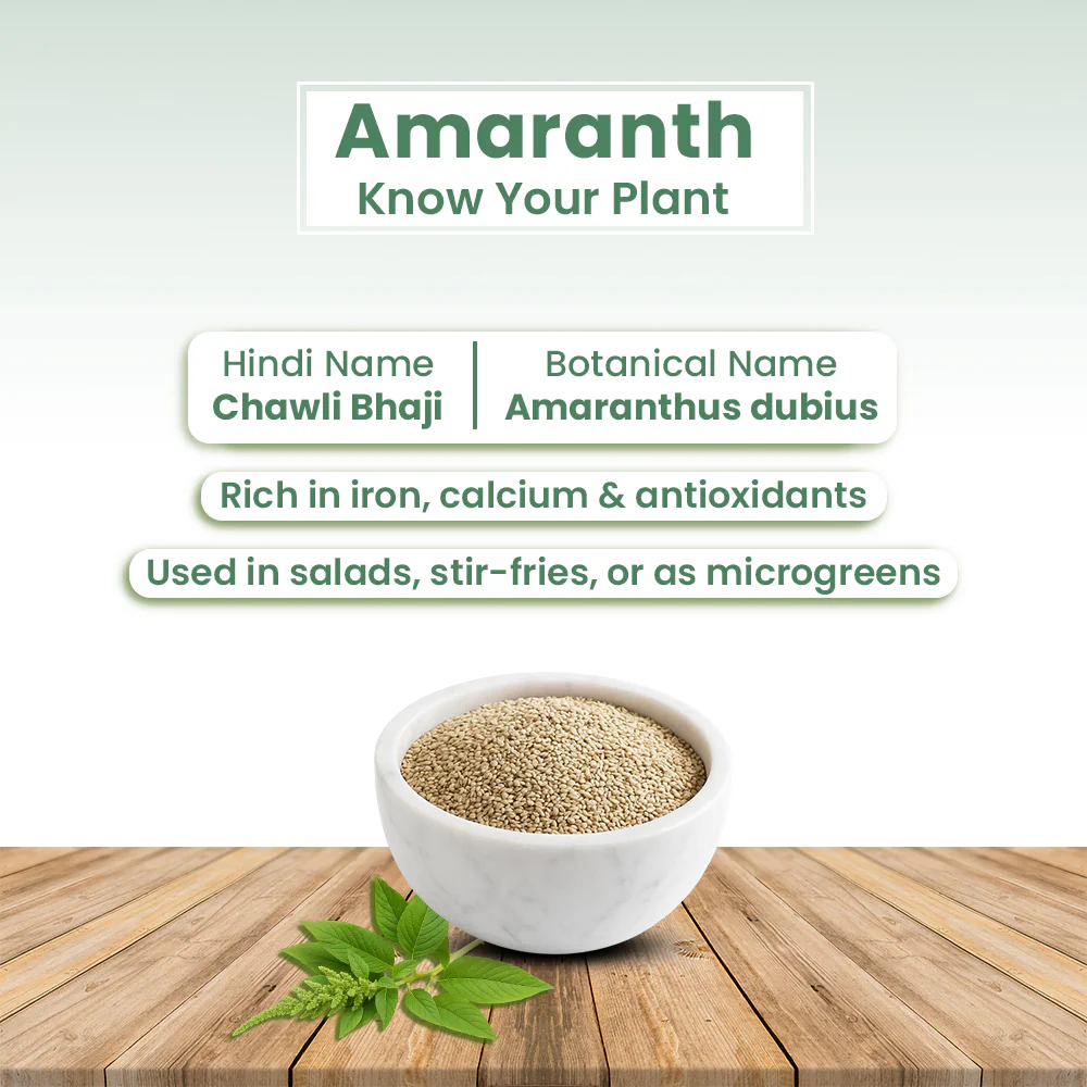GIY - Amaranth Seeds - Image 2