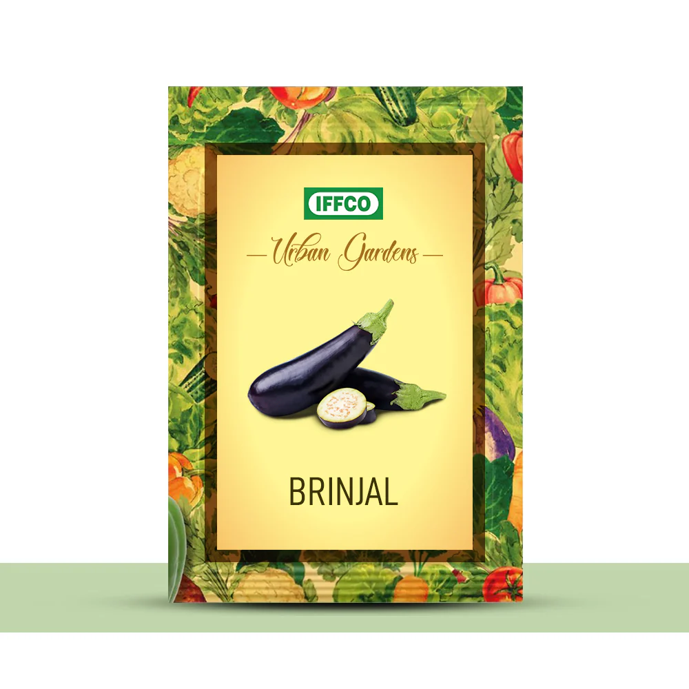GIY - Brinjal Seeds