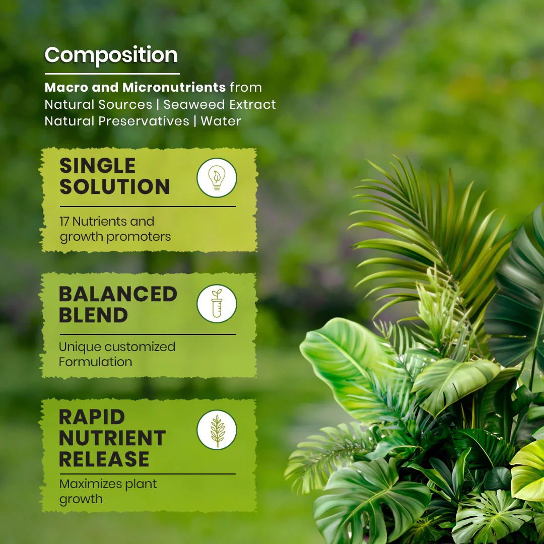 Green Diet – Complete Plant Food, Effervescent Tablets - Image 3