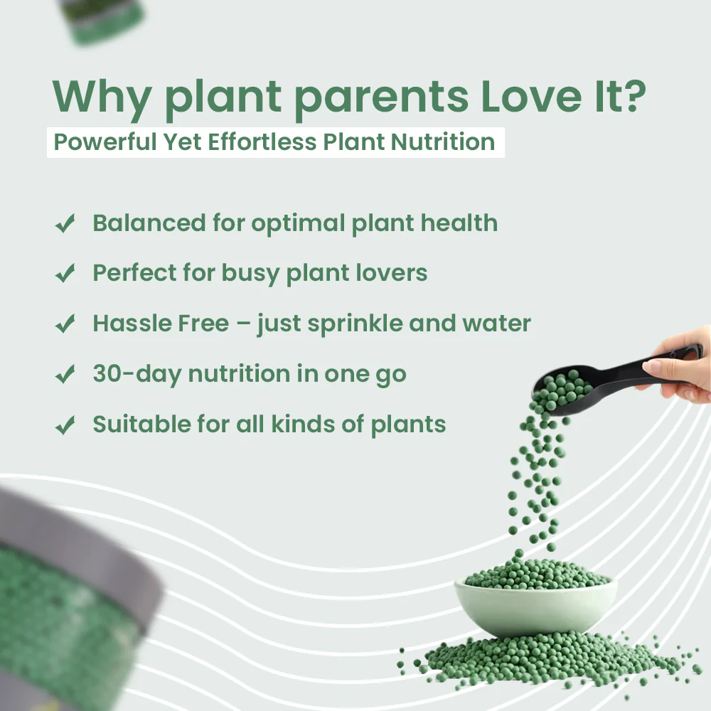 Green Diet – Complete Plant Food, Slow Release Granules - Image 5