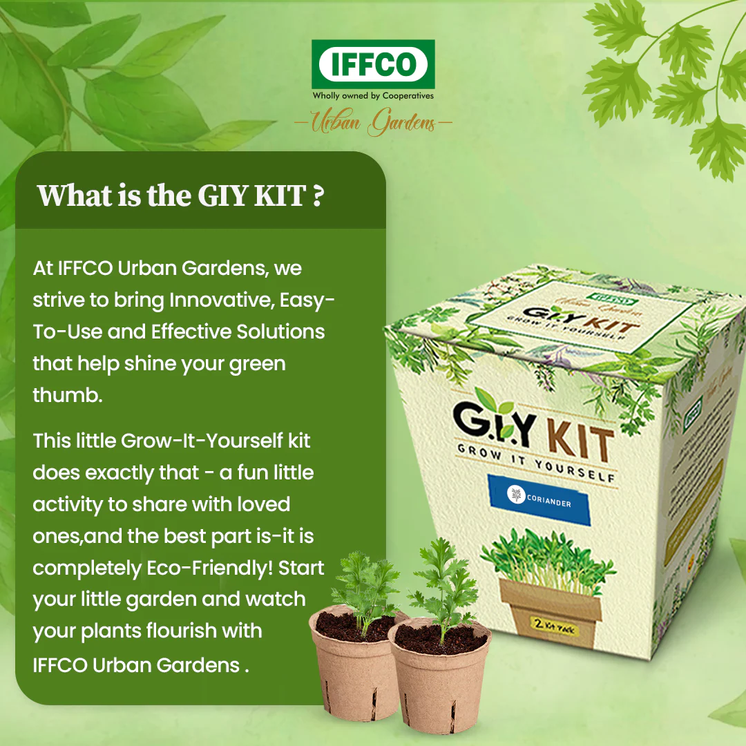 Grow It Yourself (GIY) Kit - AMARANTHUS (2 Pot Pack) - Image 3