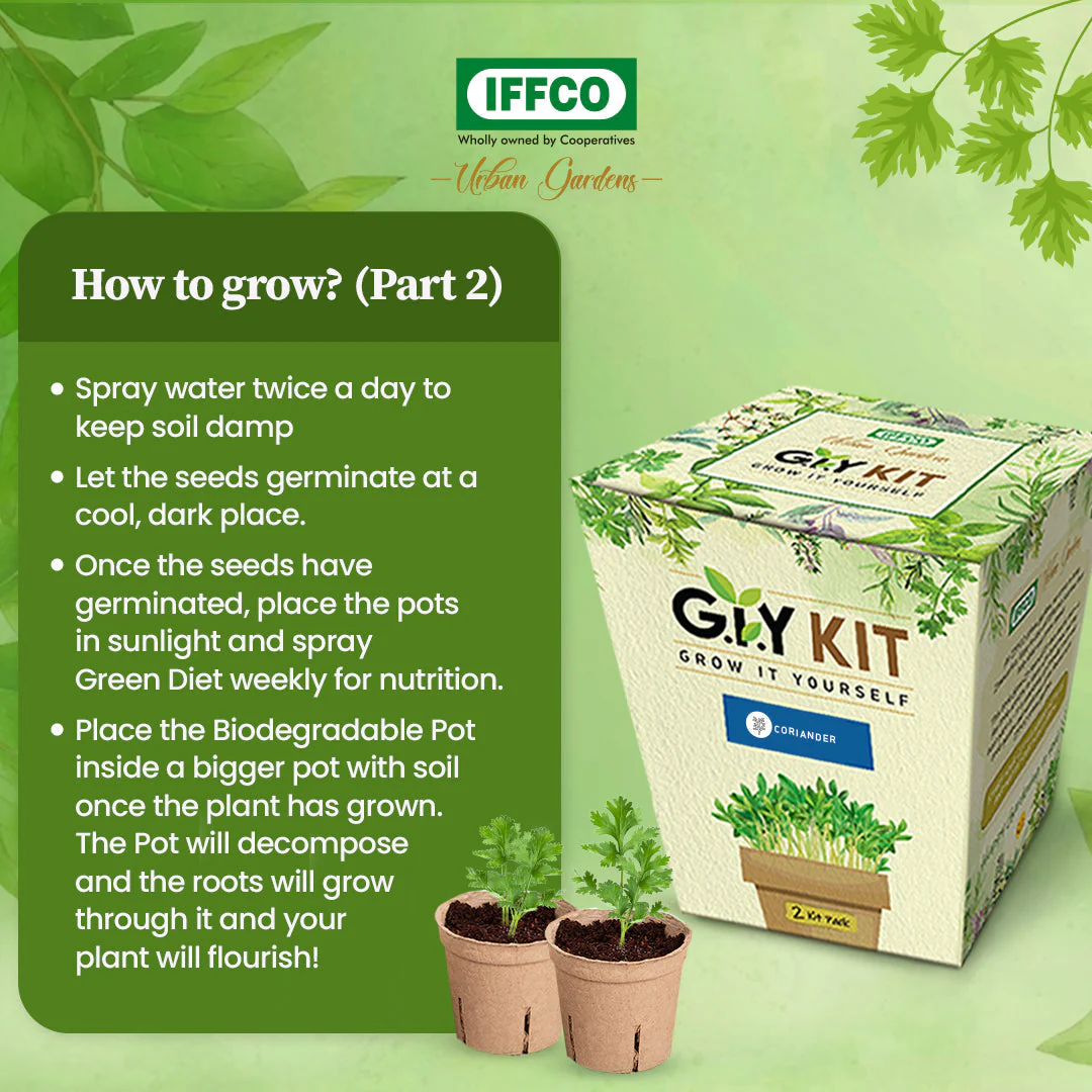 Grow It Yourself (GIY) Kit - AMARANTHUS (2 Pot Pack) - Image 5