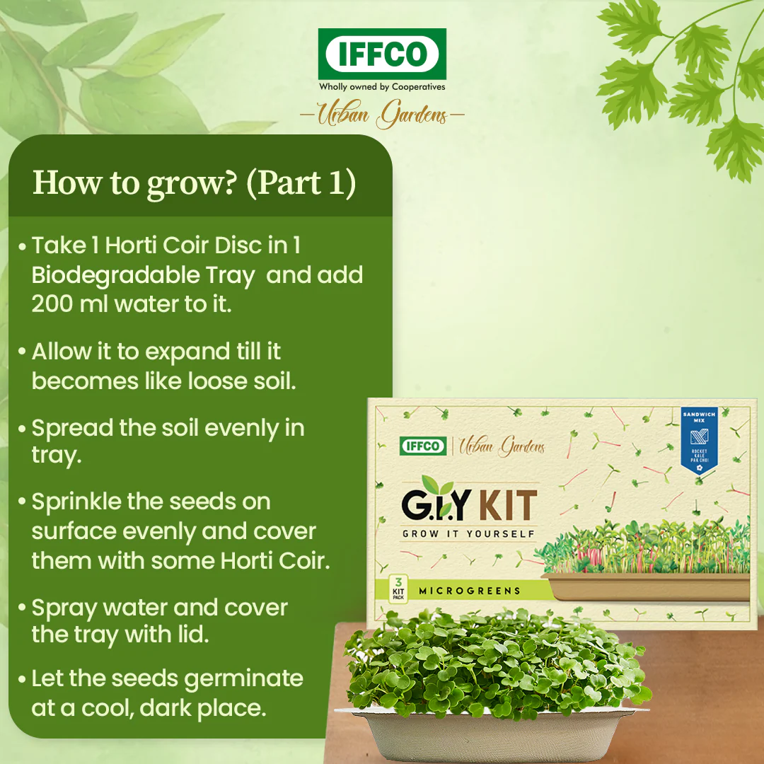 Grow It Yourself (GIY) Microgreens Kit - SANDWICH MIX (3 Tray Pack) - Image 4