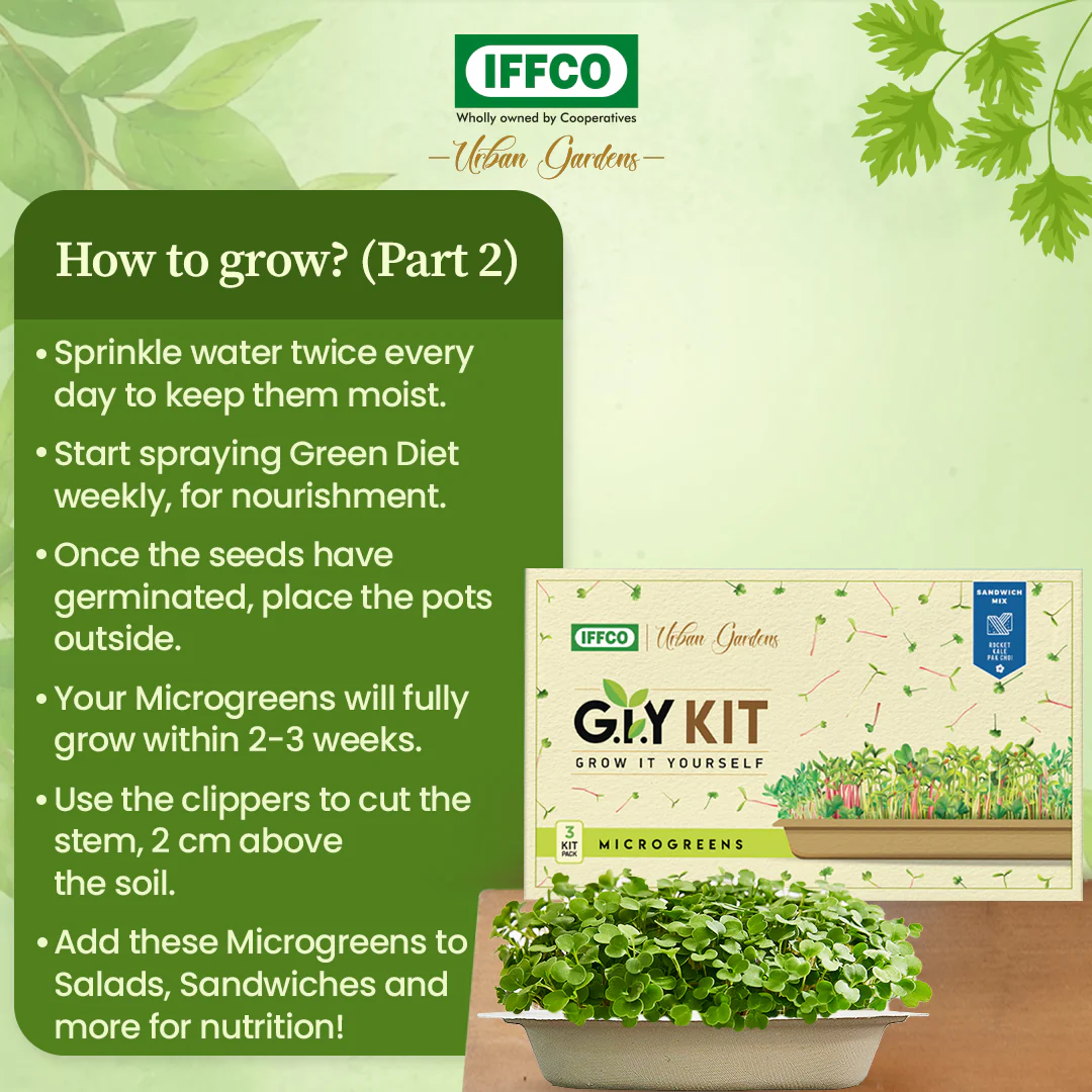 Grow It Yourself (GIY) Microgreens Kit - SANDWICH MIX (3 Tray Pack) - Image 5