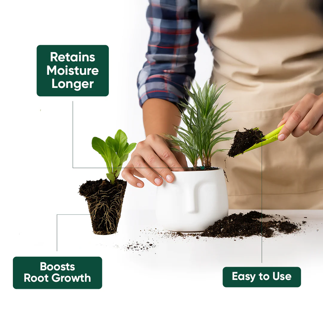 Magic Soil -All Purpose Potting Mix - Image 4