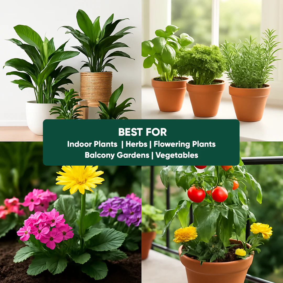 Magic Soil -All Purpose Potting Mix - Image 5