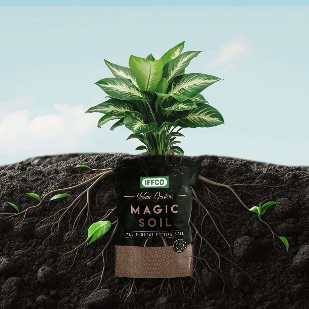 Magic Soil -All Purpose Potting Mix - Image 6