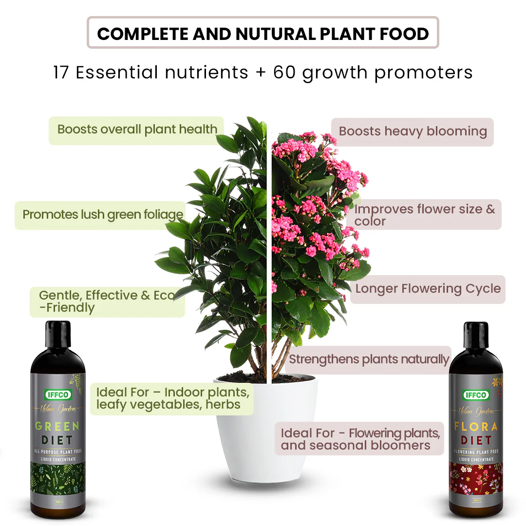 Magic Soil + Nutrition & Protection with 2L Sprayer Combo - Image 3