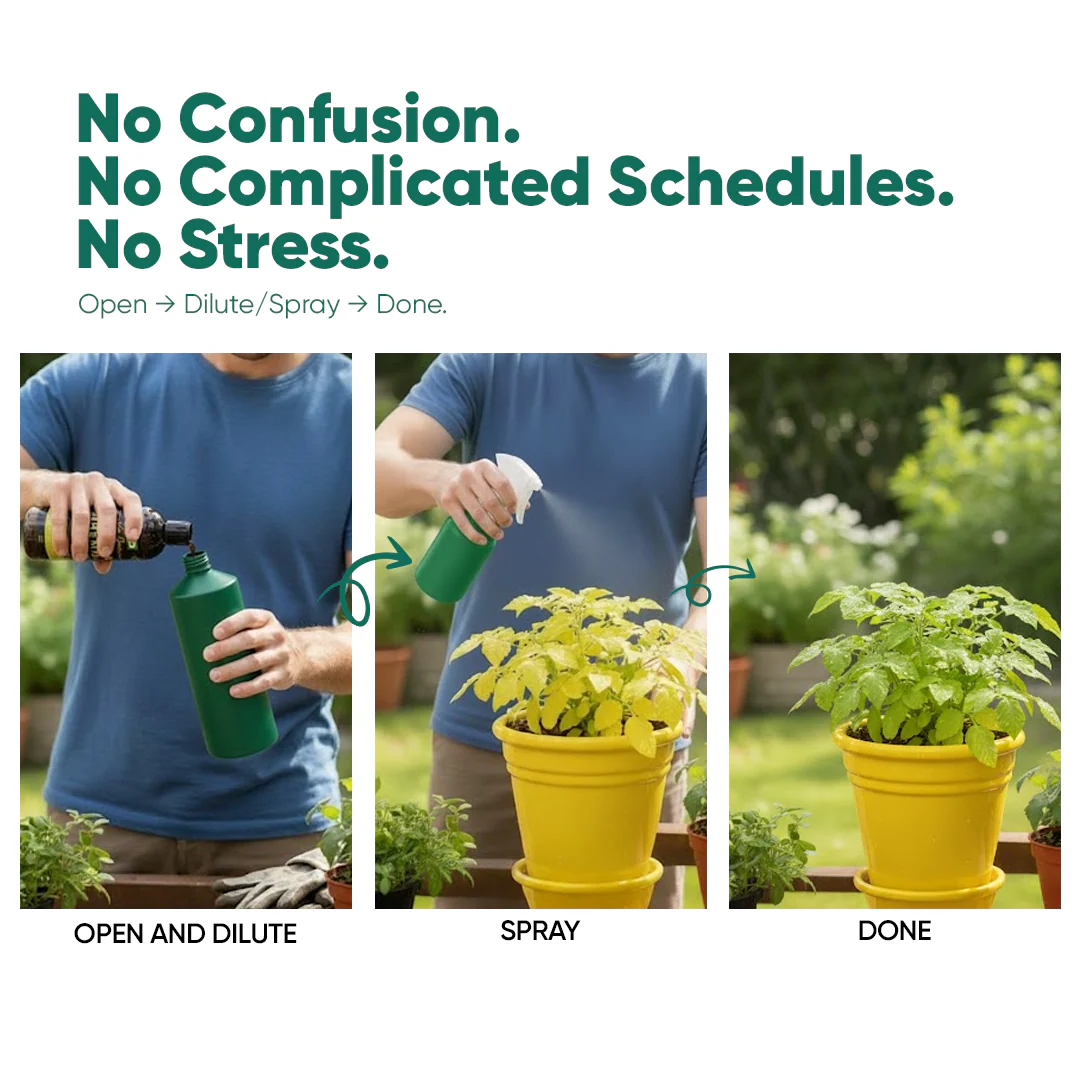 Nutrition & Protection Combo - Image 6