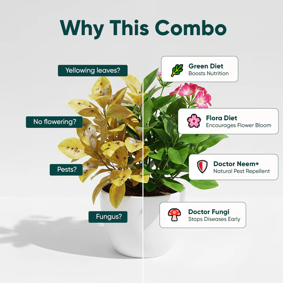 Nutrition & Protection Combo - Image 4