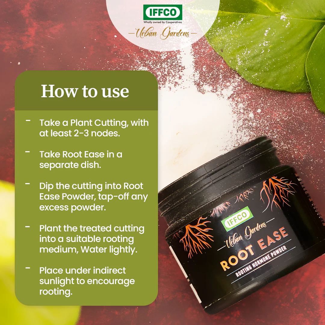 Root Ease - Image 4