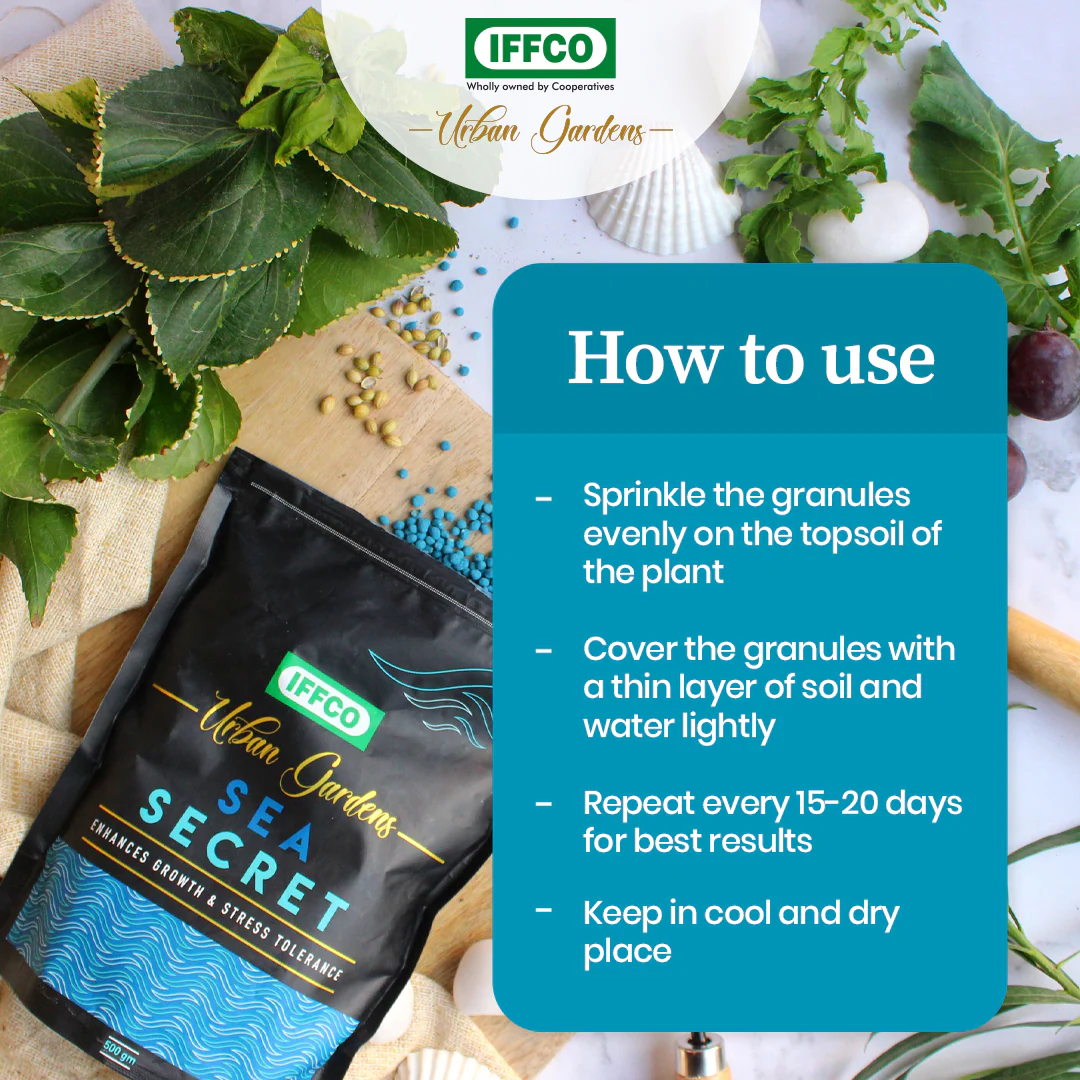 Sea Secret - Organic Seaweed Extract, Slow Release Granules - Image 4